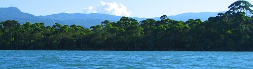 Jungle and mountains from the water between Puerto Barrios and Livingston