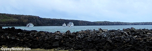 Darwin's Bay, Genovesa Island, Galapagos Island, Ecuador