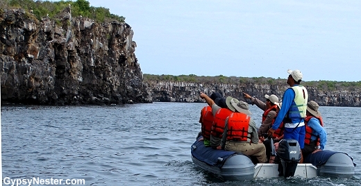 Zodiac ride along the cliffs of Genovesa, Galapagos Islands