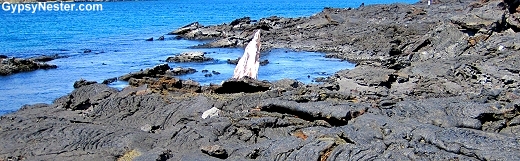 Lava flows on Santiago Island, Galapagos