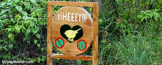 Signs in island of Isabela, in the Galapagos, warn drivers to slow down for the safety of the birds.