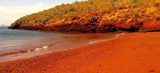 Red sand beach at Rábida Island in the Galapagos