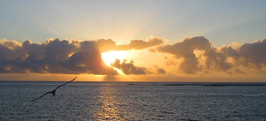 Sunrise in the Galapagos