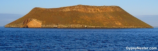 Daphne Major in the Galapagos