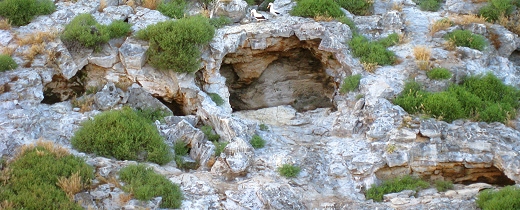 The Beak of the Finch cave in The Galapagos Islands