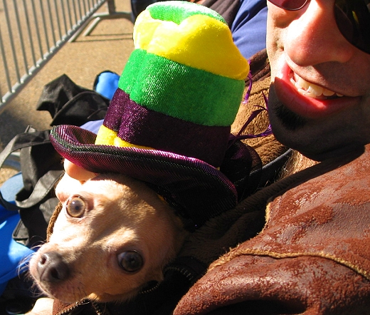 Mardi Gras Dog Parade, Lafayette Louisiana