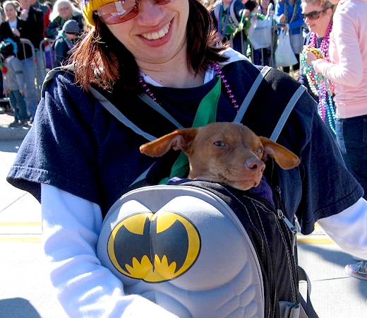 Mardi Gras Dog Parade, Lafayette Louisiana