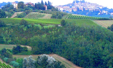 View from Cave di Moleto, Italy