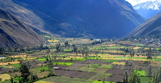 Farming in The Sacred Valley, Peru