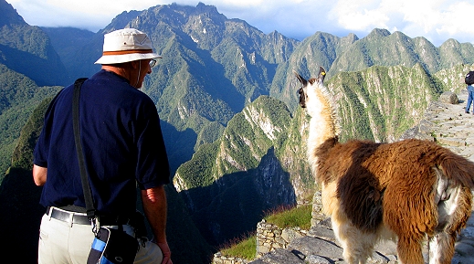 A llama blocks our path in Machu Picchu