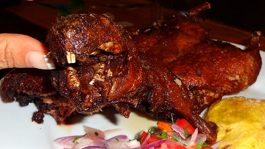 Cuy, Guinea Pig, in Peru