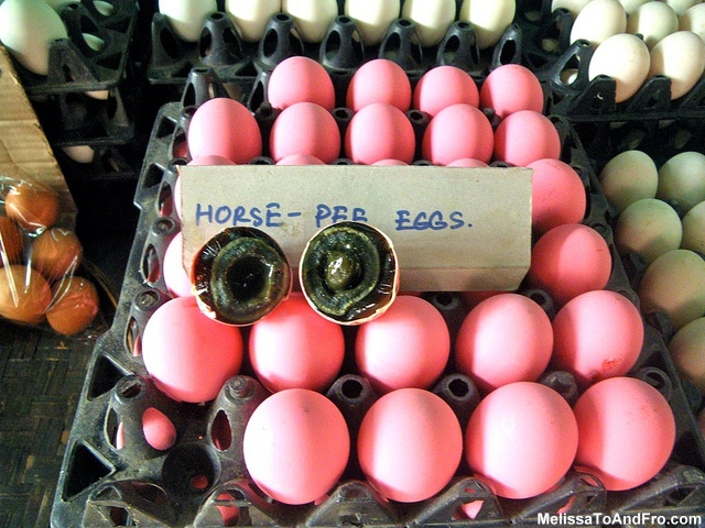 Horse Pee Eggs fro Melissa of Melissa To and Fro