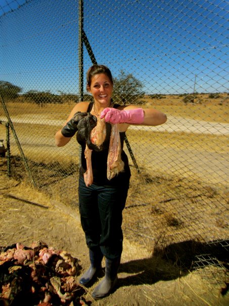Cow Offal for Lions by Melissa at The MellyBoo Project