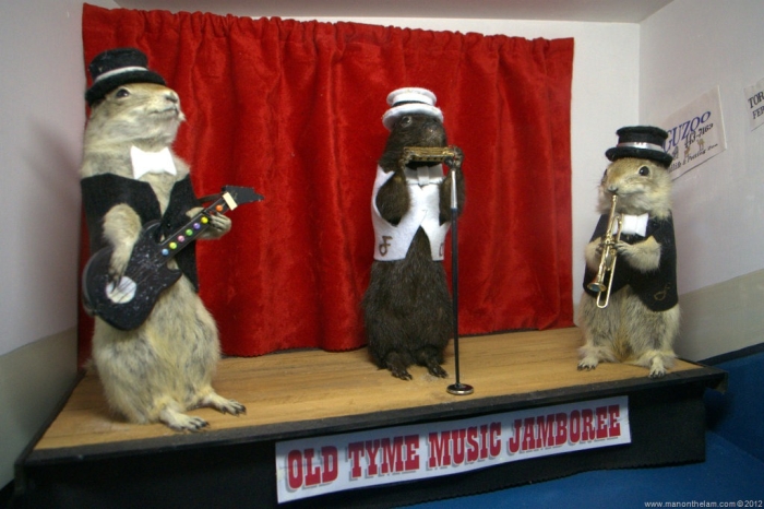 Old Tyme Music Gophers by Ramond of Man On The Lam
