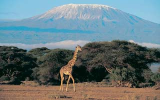 Africa
