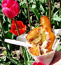 It's Tulip Time in Holland Michigan!