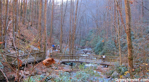 The hike to Anna Ruby Falls, Georgia