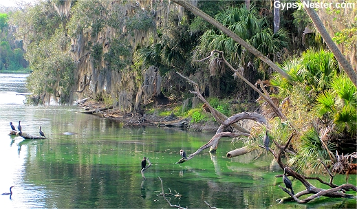 Blue Springs State Park, Florida