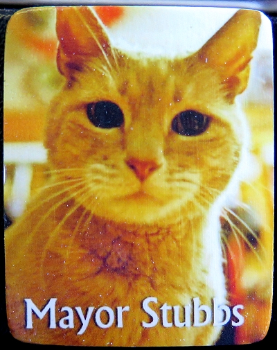 The Honorable Mayor Stubbs - he's a cat - of Talkeetna, Alaska