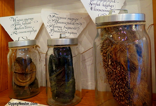 Crazy medicine in the pharmacy in Tallin, Estonia, like scorched hedgehog, mummy fragments, stallion hooves